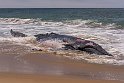 127 Walvisbaai, Namibie